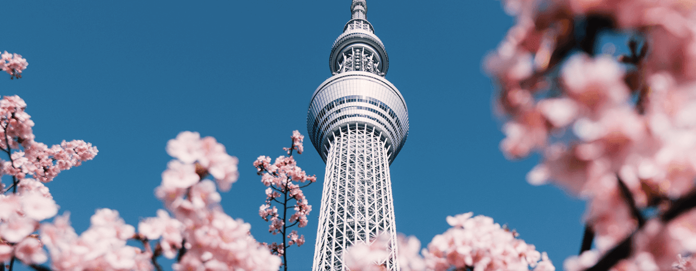 Systematic stewardship in action: Gender diversity in Japan