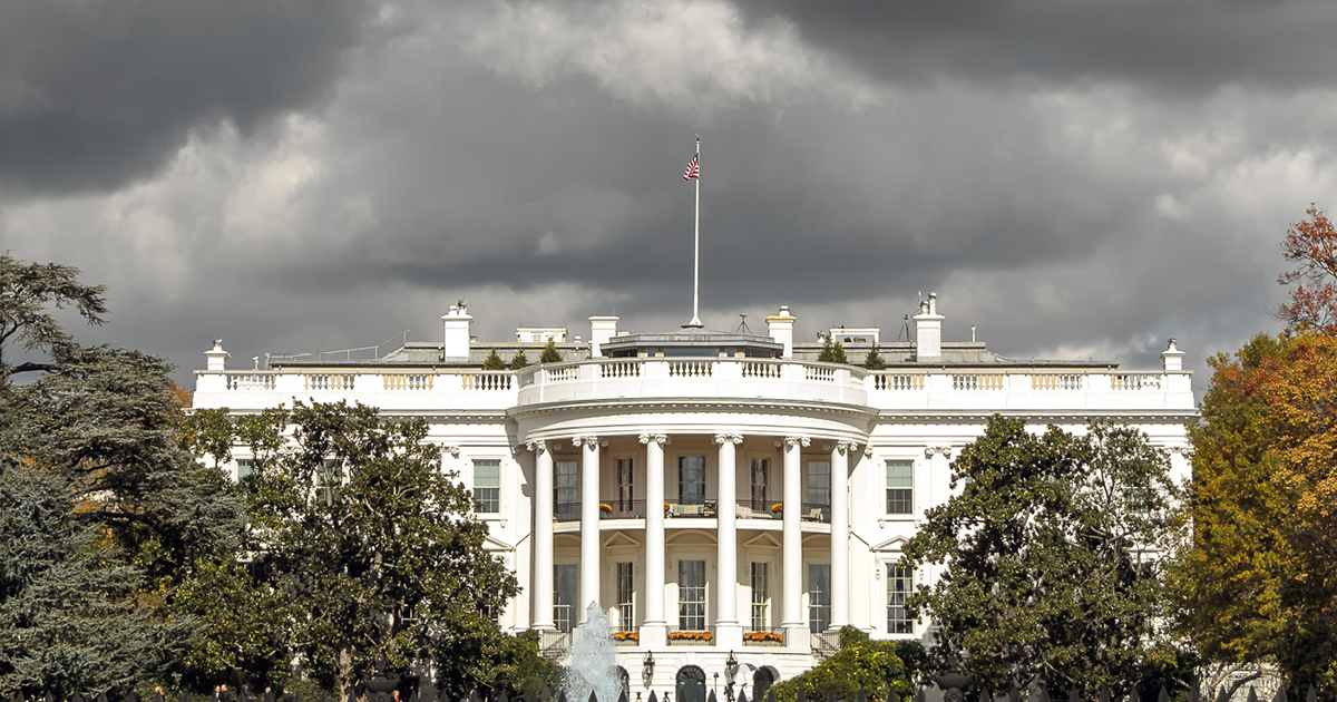 US tariffs: What to do and what not to do, in light of tariff news