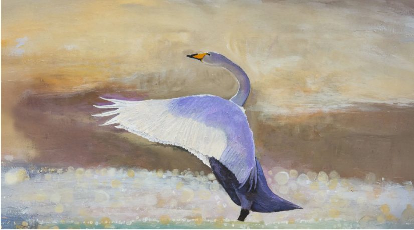 What role can the BoE and the ChEx play to stimulate investment in the UK economy?