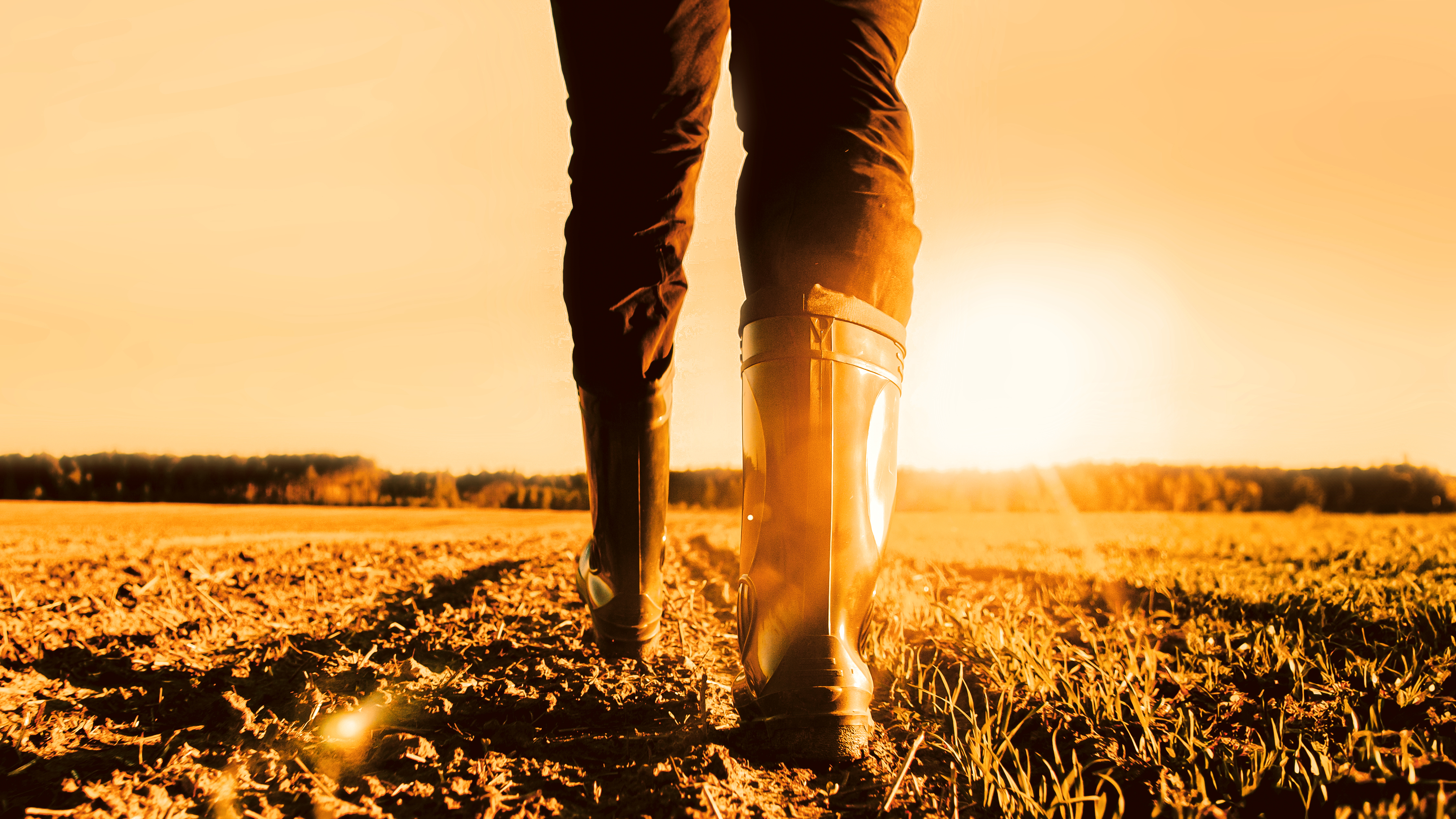 How investors engage with Natural Capital – a study