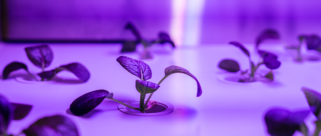 SustainAbility: The clean theme