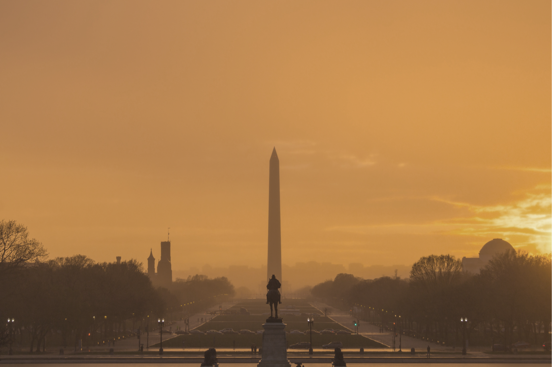 The Algebris Bullet | Dispatch from Washington
