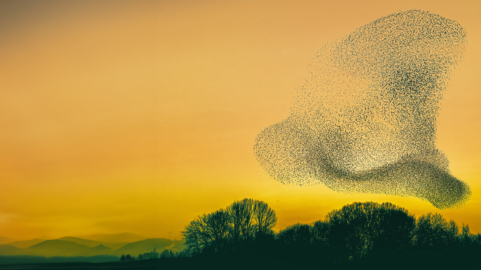 The wind of change for equity investors