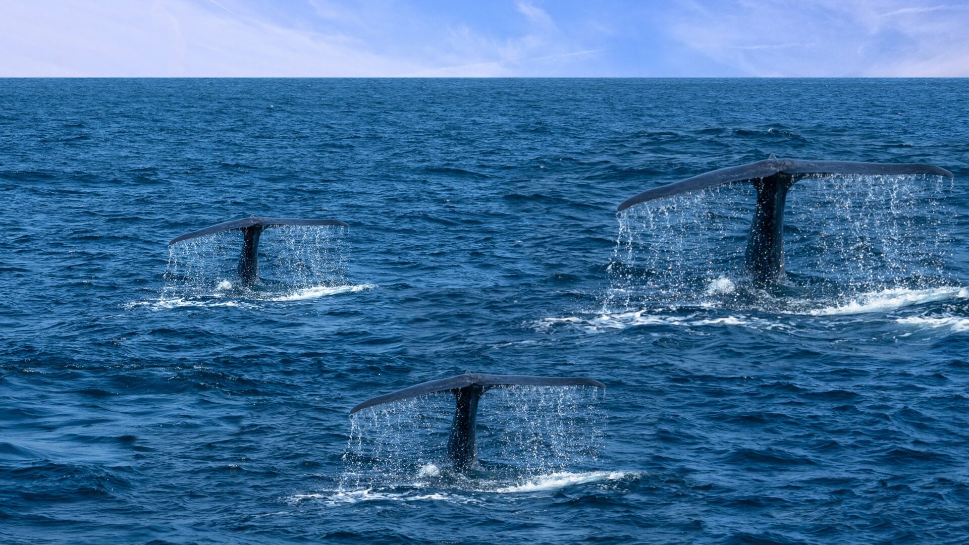 Absolute Insight: Beneath the surface of the pod shops’ rise