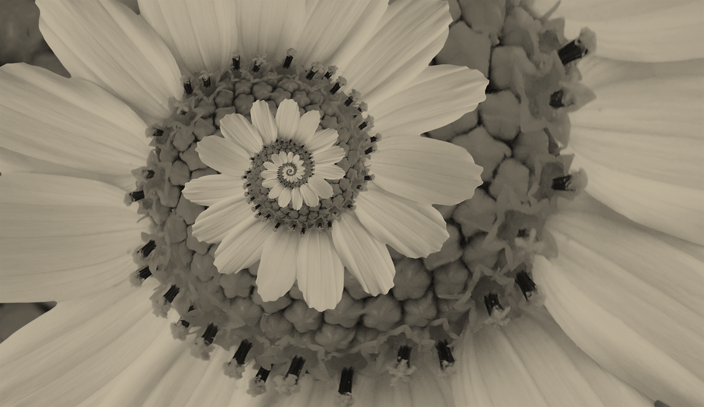 Monday Club – 03/11/25: Your weekly Wealthwise digest