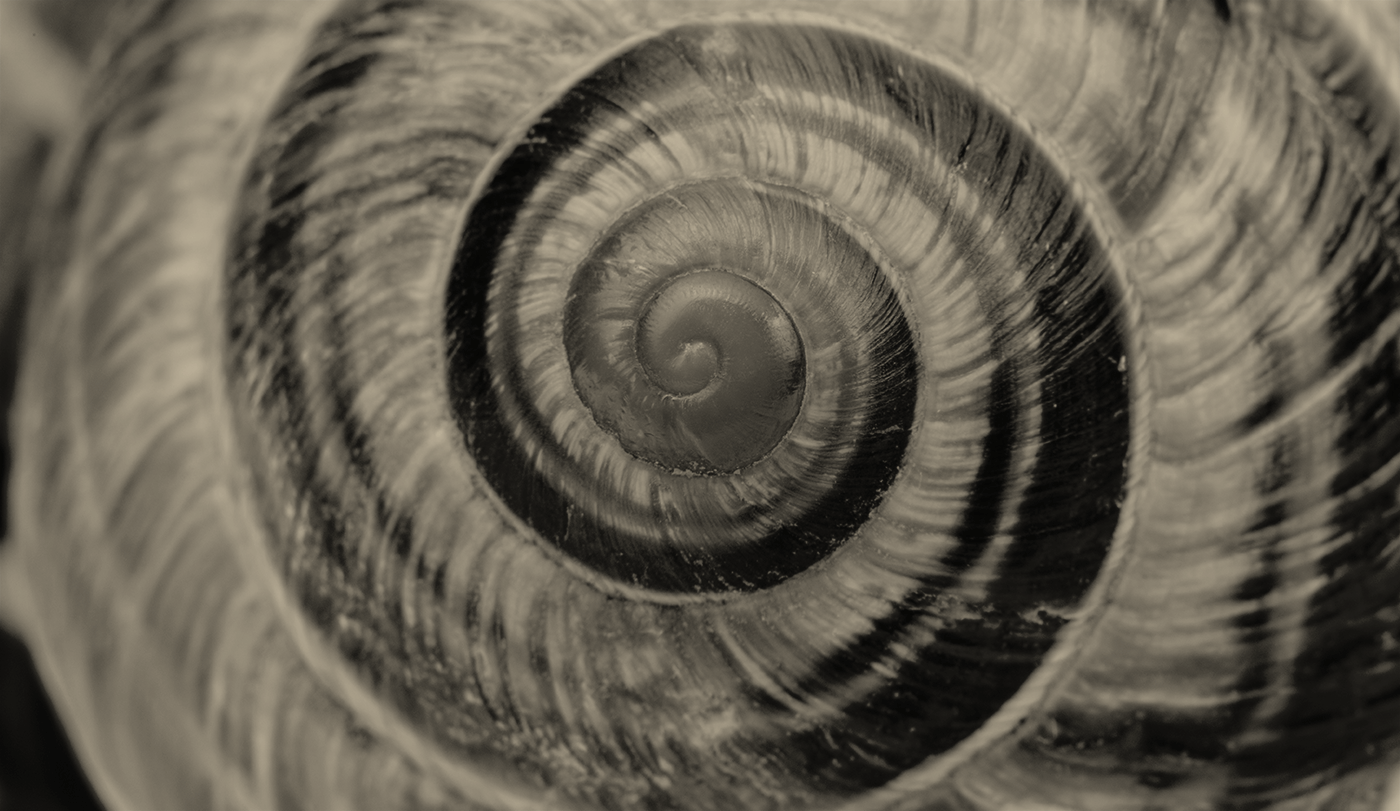 Monday Club – 17/11/25: Your weekly Wealthwise digest