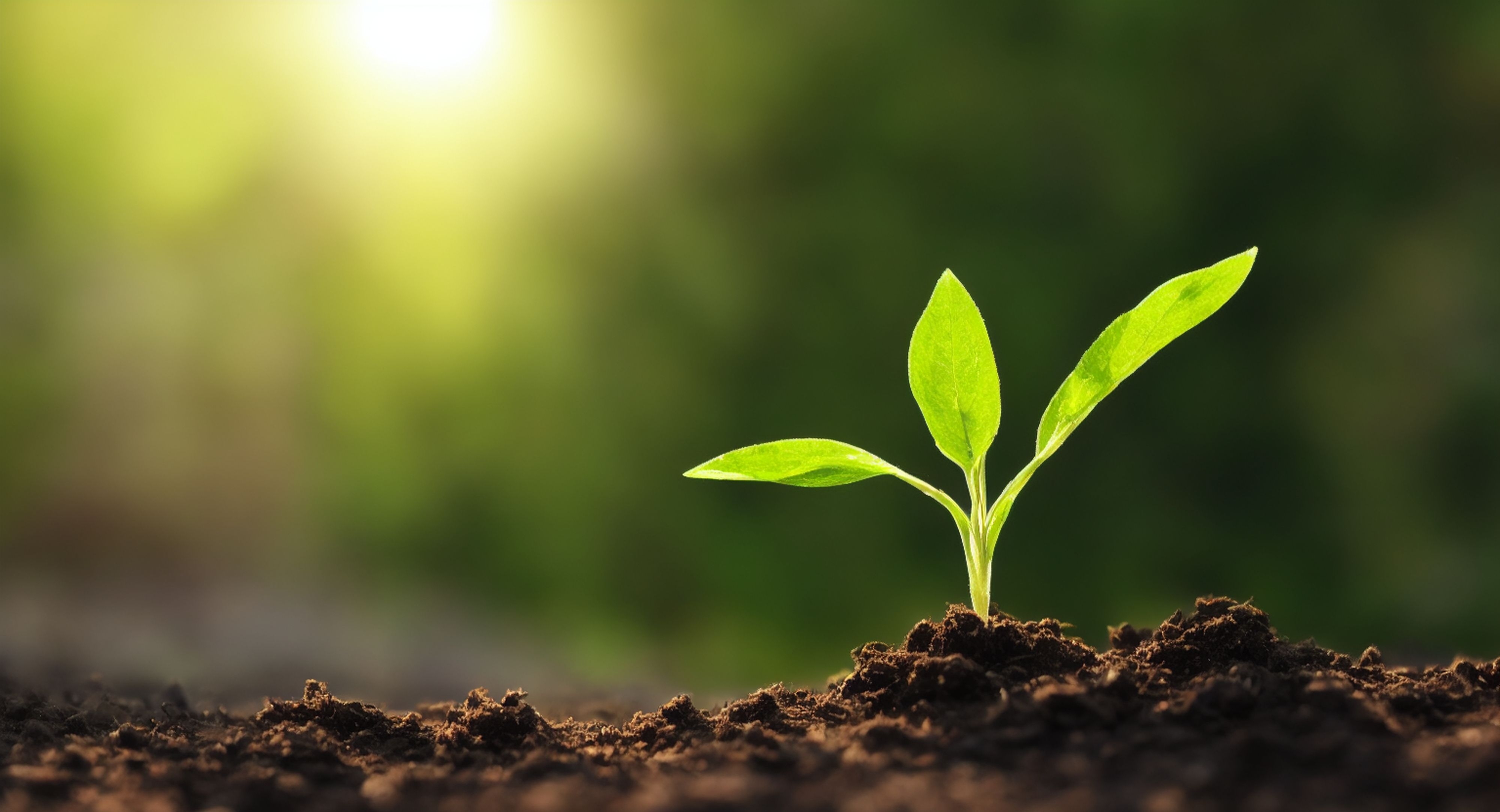 Bond yields at 30-year highs elevate the need for income growth