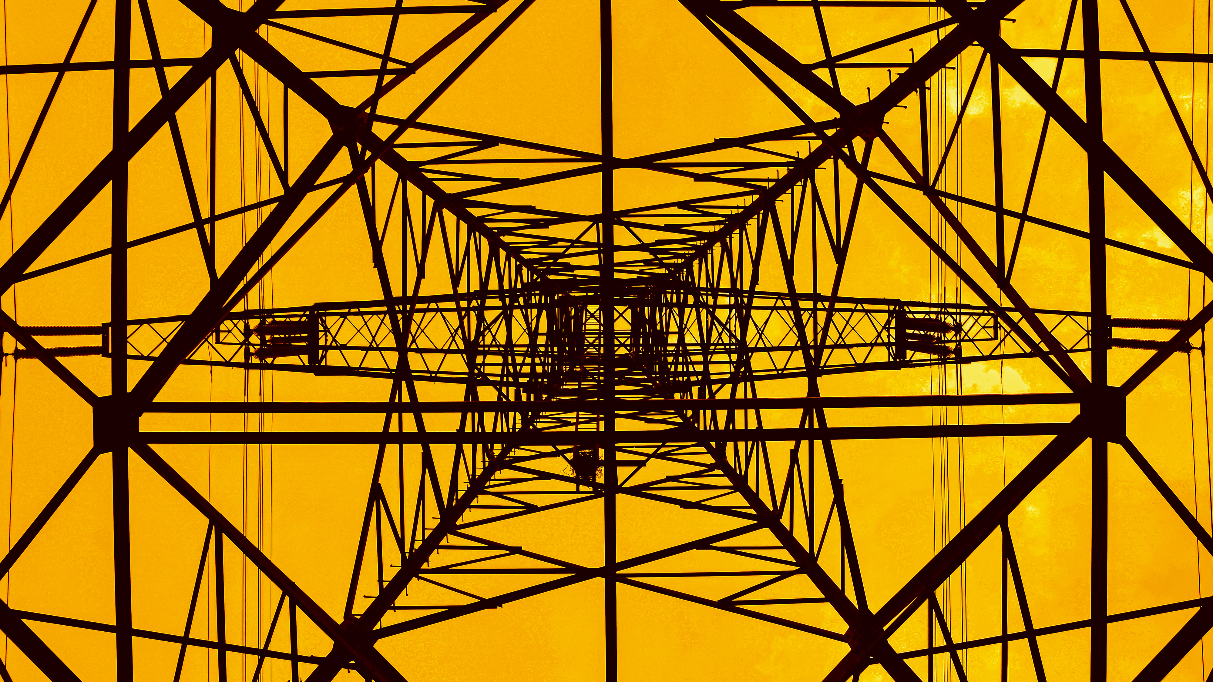 Mega-trend 1 Digitalisation: Connectivity and cloud data services