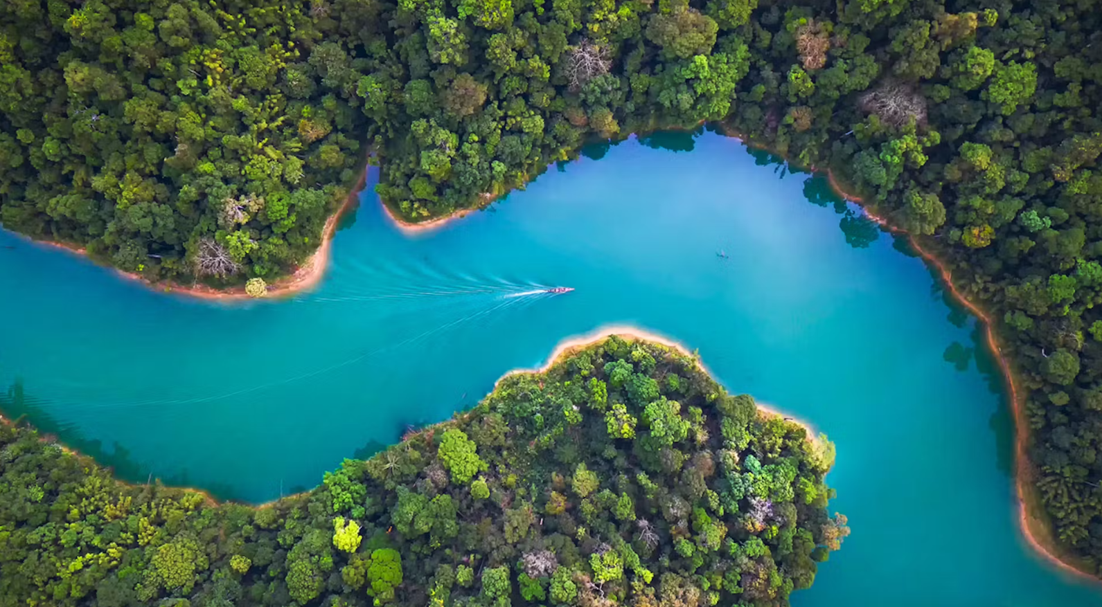 EM sovereign credit: Can the juggernaut roll on? | Carmignac