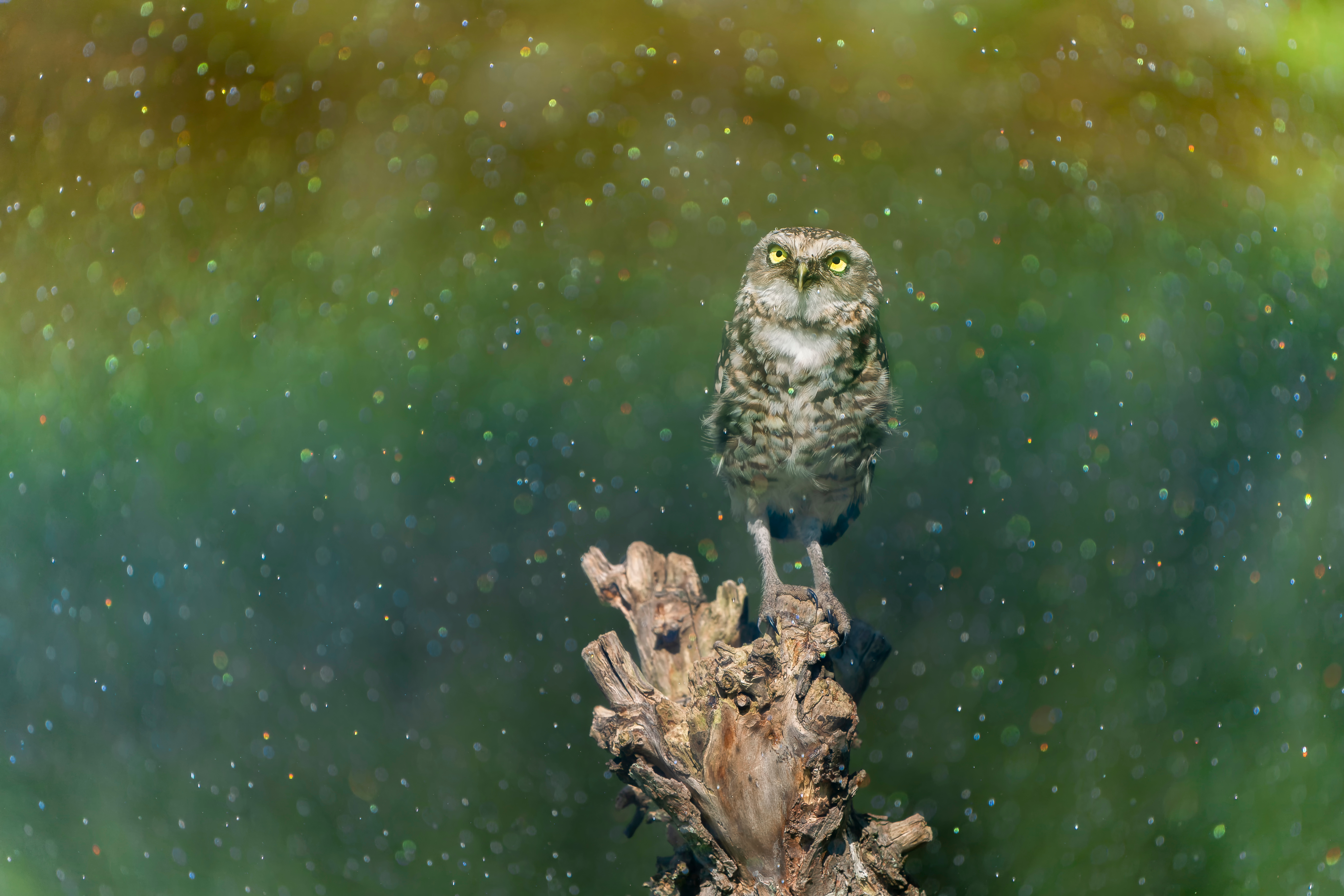 Model behaviour: Time for a different climate?