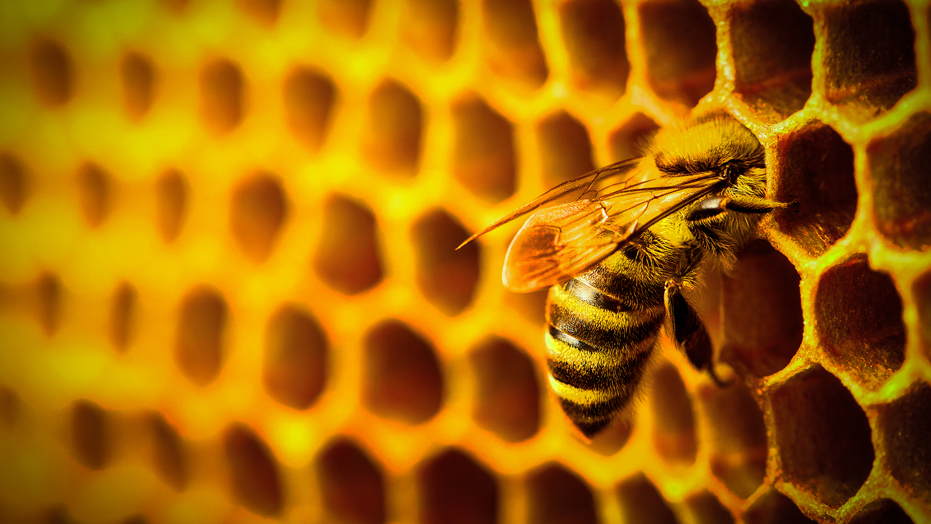 Quiet shifts, lasting impact: Opportunities in Japanese small-caps