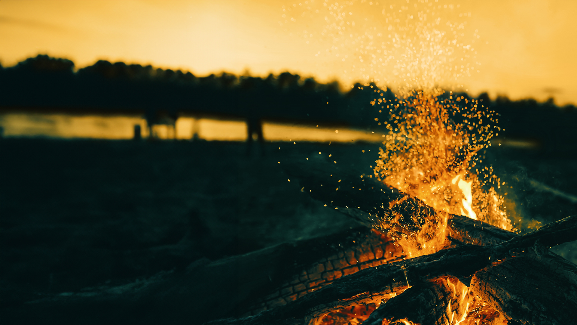 Case study: Fewer wildfires, more biodiversity