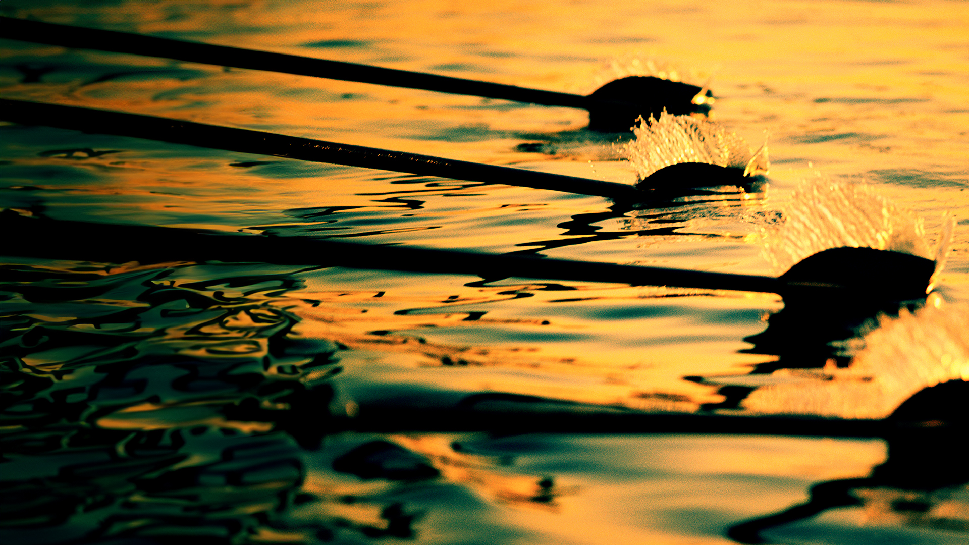 The overlooked engine: How small caps can enhance portfolios and unlock value