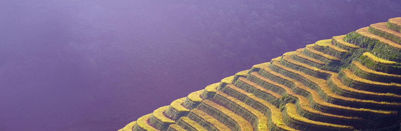 Sustainable investing quarterly update – January 2026