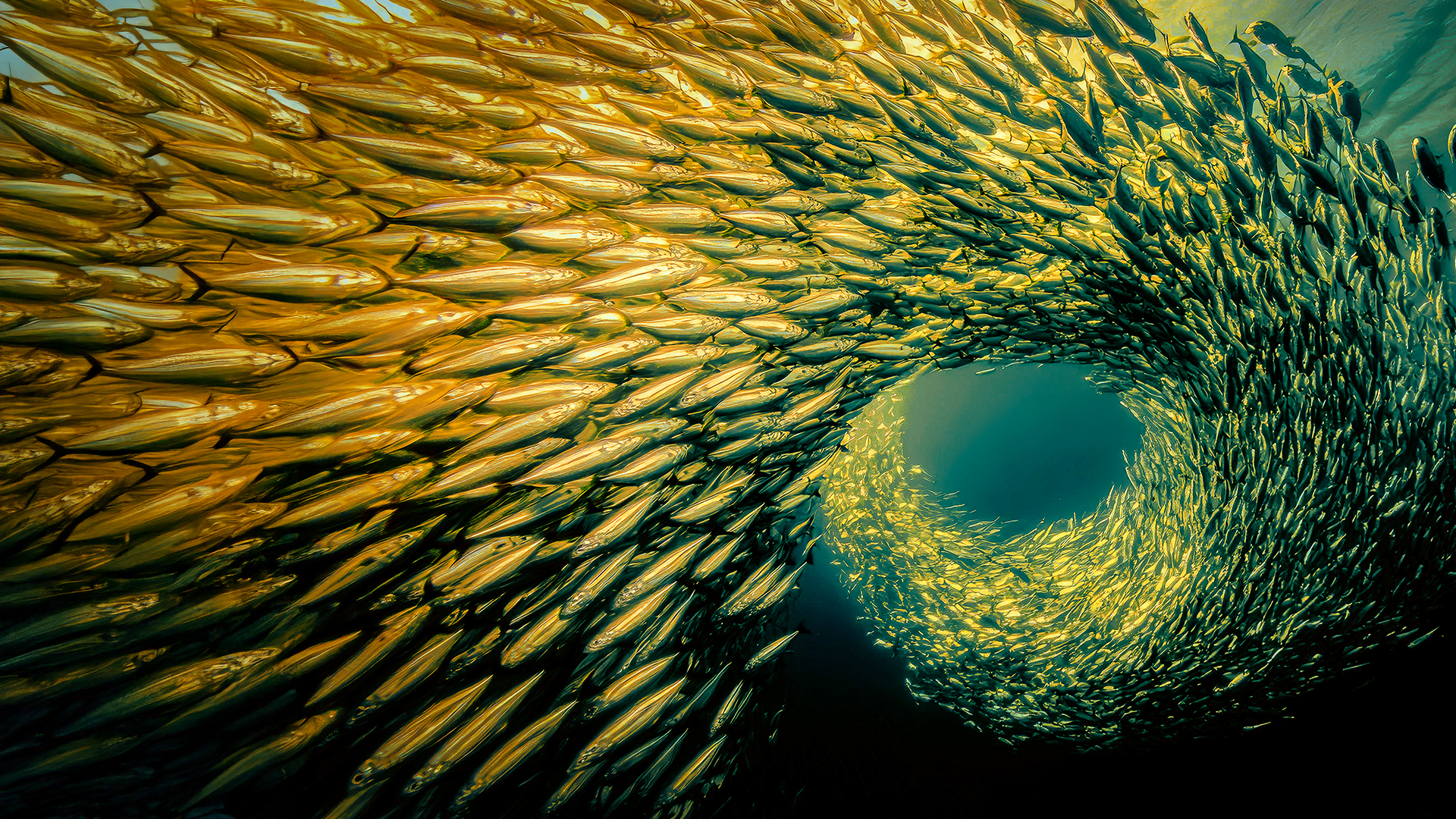 Infrastructure the ultimate megatrend