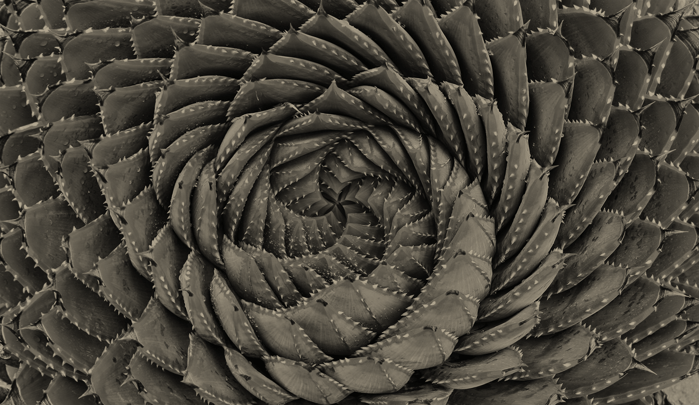 Monday Club – 05/01/26: Your weekly Wealthwise digest