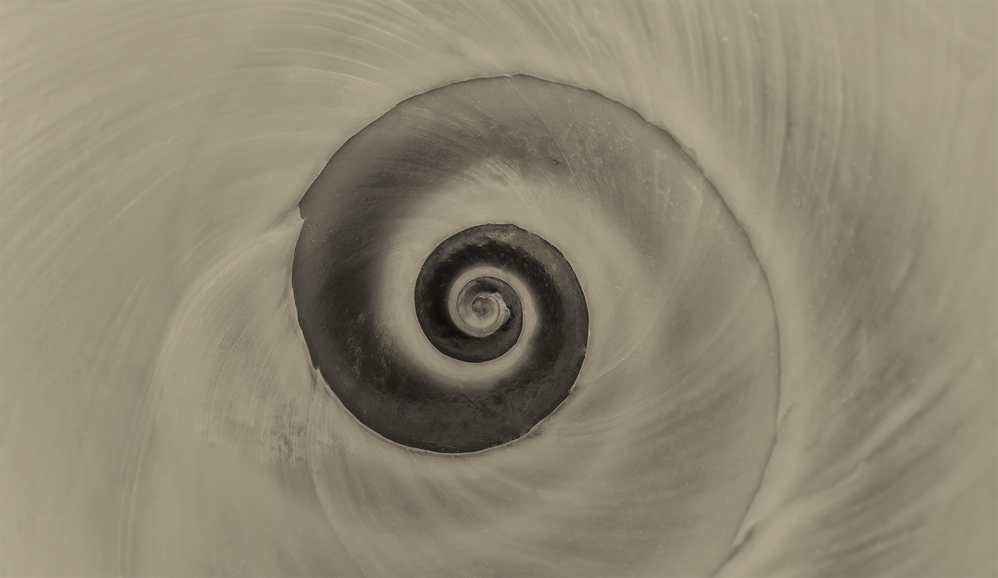 Monday Club – 12/01/26: Your weekly Wealthwise digest