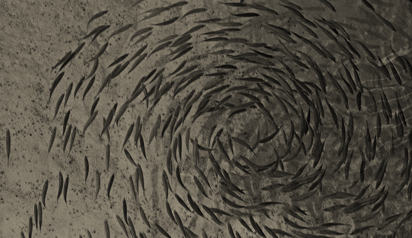 Monday Club – 19/01/26: Your weekly Wealthwise digest