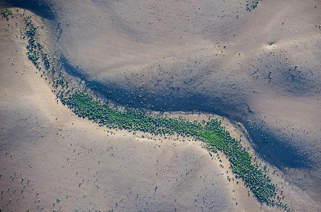 Global uncertainty gives way to opportunity in bond and equity markets