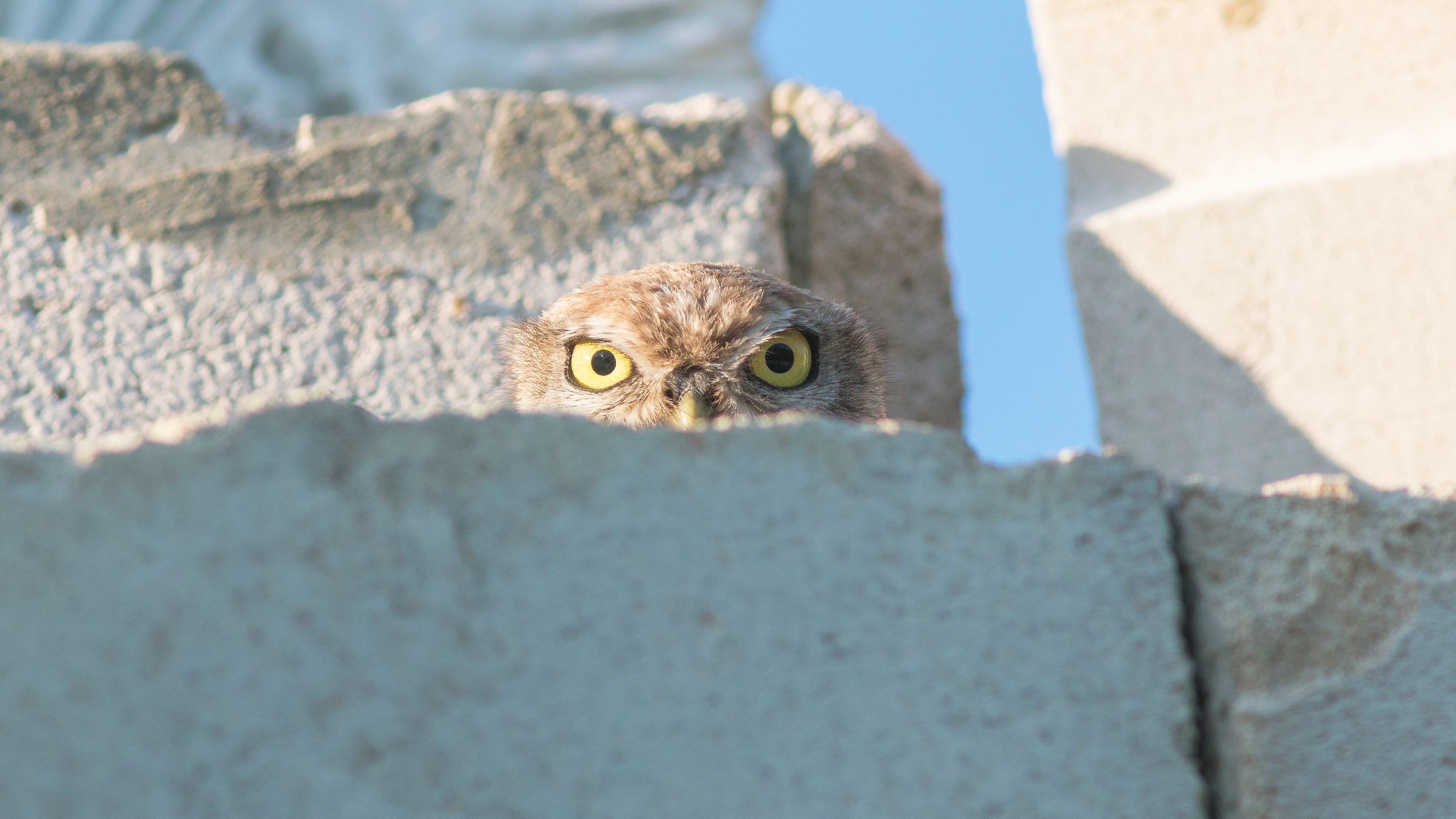 Quarterly view: OK … what next?