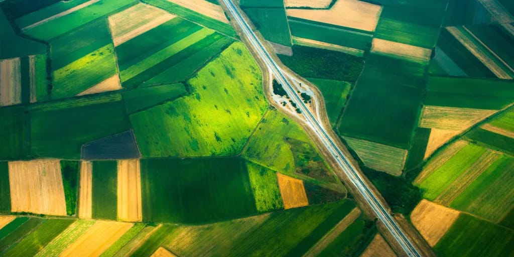 AI: A sustainability risk and opportunity for long-term investors