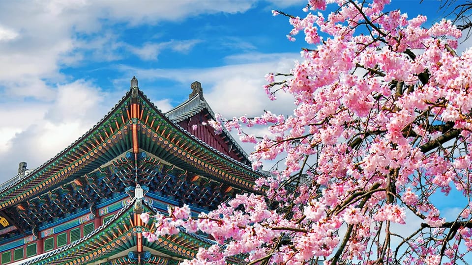 Behind South Korea’s spectacular surge
