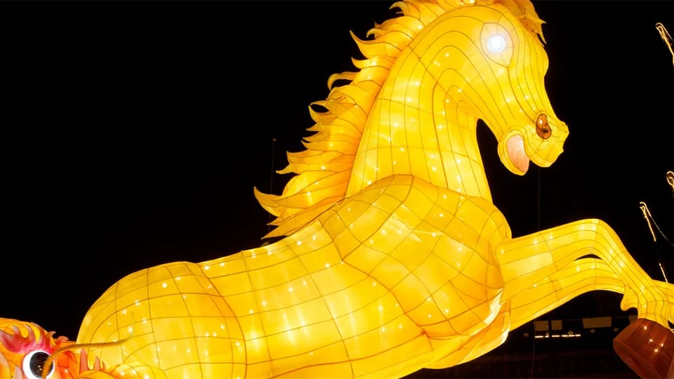 China: a trot, not a gallop – so far