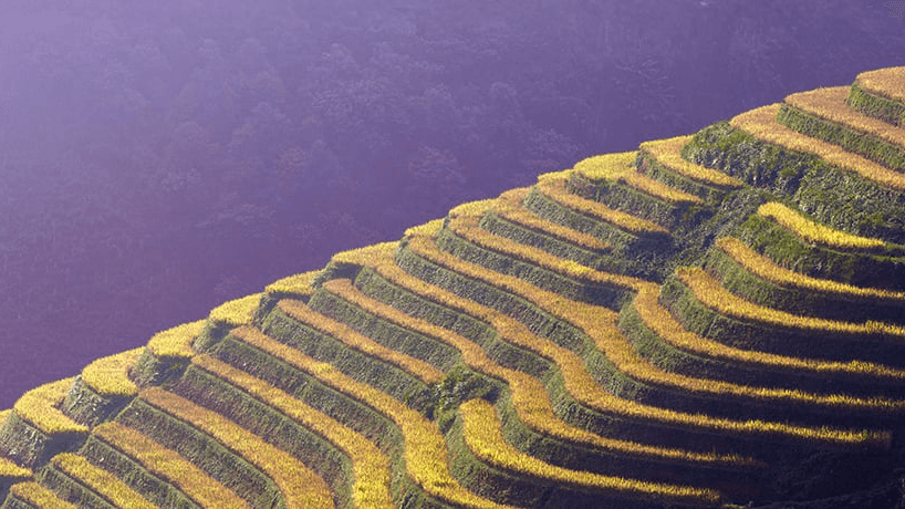 Sustainable Investing quarterly update – Q1 2026
