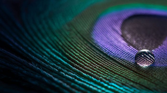 Roundtable reflections: Is ESG dead?