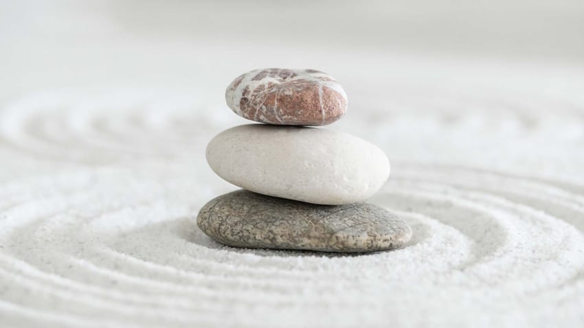 Welcome Back, Balanced Portfolio